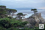 Click to see YDSC00213.JPG