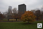 Click to see YDSC1249_UN-ADJ.JPG