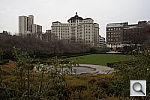 Click to see YDSC1263_UN-ADJ.JPG