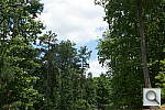 Click to see NEXF3PINE_IDCdefaults.JPG