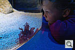 Click to see YDSC00545_DxO_jpg.jpg