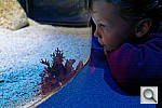 Click to see YDSC00545_DxO_raw.jpg