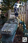 Click to see Y_BOKEH_CROCODILE.JPG