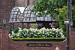 Click to see YDSC00442.JPG