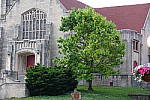 Click to see YDSC00493.JPG