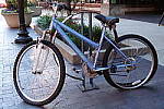 Click to see YDSC00561.JPG