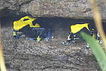 Click to see yDSC00057.JPG