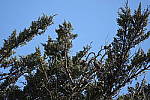 Click to see yDSC00108_noCA.JPG