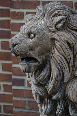 Sony RX10 III review -- Sample photo