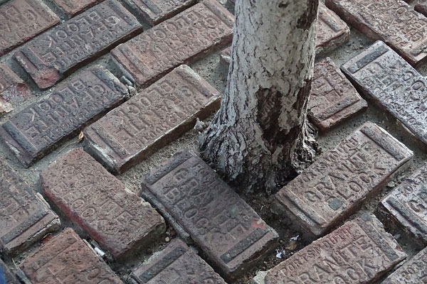 Sony RX10 III review -- Sample photo