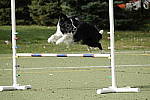 Click to see YC-RX10-IV-0076.JPG