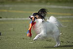 Click to see YC-RX10-IV-0141.JPG