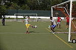 Click to see YC-RX10-IV-1429.JPG