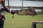 Click to see YC-RX10-IV-2283.JPG