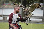 Click to see YC-RX10-IV-2303.JPG