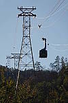 Click to see YDSC00495.JPG