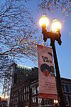 Click to see YDSC02210.JPG