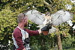 Click to see YRX10IV_DSC00378.JPG