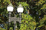 Click to see YDSC00108.JPG
