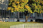Click to see YDSC00120.JPG