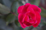 Click to see YDSC00144.JPG