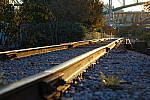 Click to see YDSC00158.JPG
