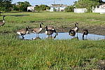 Click to see YDSC00082.JPG