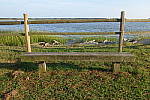Click to see YDSC00103.JPG
