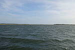 Click to see YDSC00231.JPG