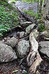 Click to see Y-AE01161.JPG