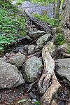 Click to see Y-AF01162-HDR-4.JPG
