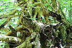 Click to see Y-AQ01141-HDR-A.JPG