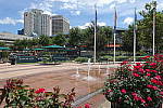 Click to see YDSC00128.JPG