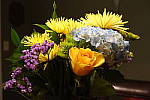 Click to see YDSC00298.JPG