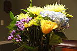 Click to see YDSC00347.JPG