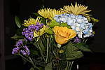 Click to see YDSC00392.JPG