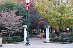 Click to see YYDSC00007.JPG