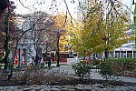 Click to see YYDSC00019.JPG