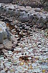 Click to see YYDSC00022.JPG