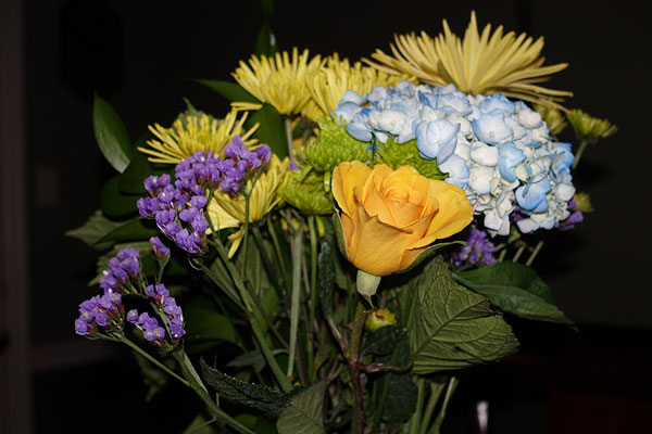 Sony RX100 III review -- 1/2,000 flash sync sample photo