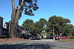 Click to see Y-JS-DSC01341-50mm.JPG