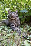 Click to see Y_DSC0140.JPG