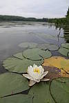 Click to see Y_DSC0149.JPG