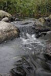Click to see Y_DSC0250.JPG