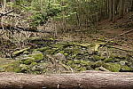 Click to see Y_DSC0301.JPG