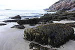 Click to see Y_DSC0350.JPG