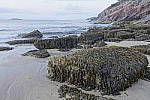 Click to see Y_DSC0351-HDR6EV.JPG