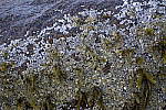 Click to see Y_DSC0358-f2.8.JPG