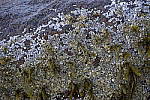 Click to see Y_DSC0359-f4.0.JPG
