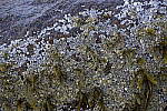 Click to see Y_DSC0360-f5.6.JPG